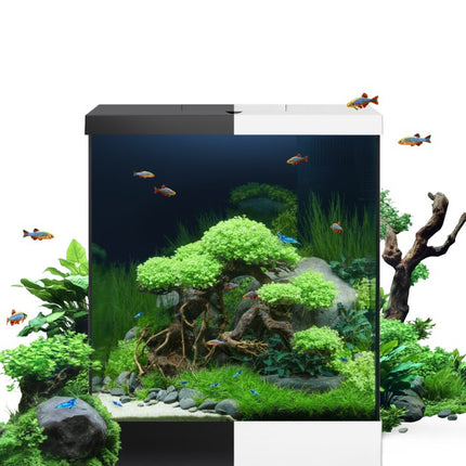 Juwel Aquarium Vio Cube Aquarium – Ansicht 9