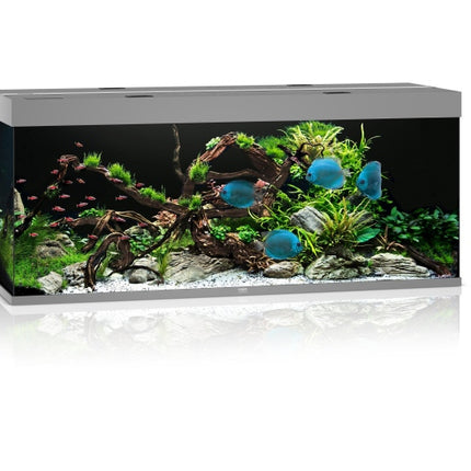 Juwel Aquarium Rio LED Aquarium – Ansicht 39