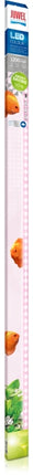 Juwel Aquarium Colour LED 1200 mm, 25 W – Aquarium-Beleuchtung für das Aquarium bei AquascapingForLife