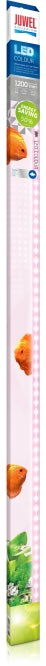 Juwel Aquarium Colour LED 1200 mm, 25 W – Aquarium-Beleuchtung für das Aquarium bei AquascapingForLife