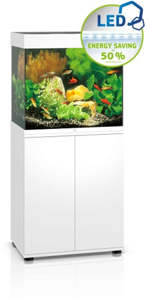 Juwel Aquarium Lido LED SBX Kombination – Aquarienkombinationen für das Aquarium bei AquascapingForLife