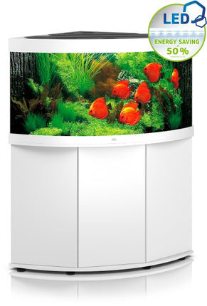 Juwel Aquarium Trigon LED SBX Kombination – Ansicht 10