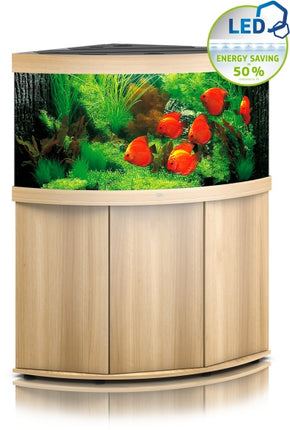 Juwel Aquarium Trigon 350 LED SBX helles Holz Kombi – Aquarienkombinationen für das Aquarium bei AquascapingForLife