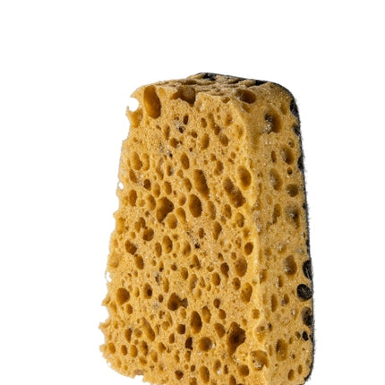 Me Scrubby Steve, Reinigungsschwamm – Ansicht 2