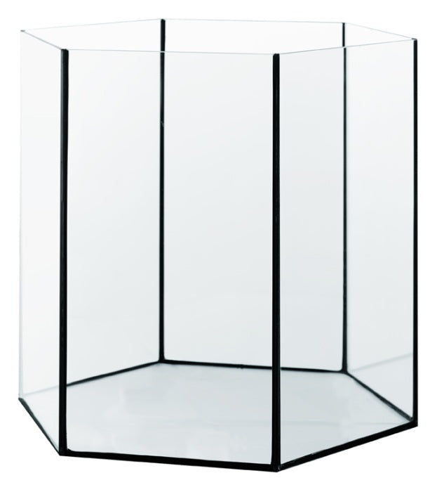 Me Aquaristic / Me Pet Products Me Top Glas Aquarium HEX – Aquarien für das Aquarium bei AquascapingForLife