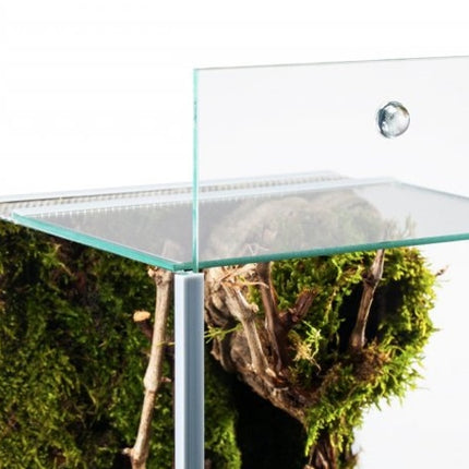 Me Top Glas Terra Spider – Ansicht 2