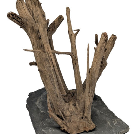 Me Euca Wood on Slate [P ] – Hölzer und Wurzeln für das Aquarium bei AquascapingForLife