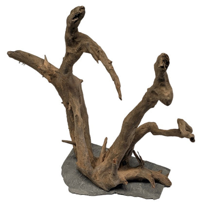 Me Euca Wood on Slate [P ] – Ansicht 4