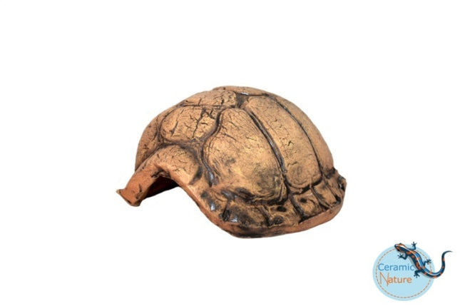 CeramicNature Turtle - S – Ornamente und sonstige Dekoration für das Aquarium bei AquascapingForLife
