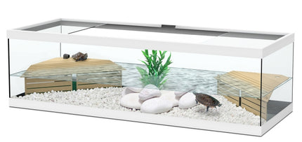 Aquatlantis Terrarium Tortum – Ansicht 4
