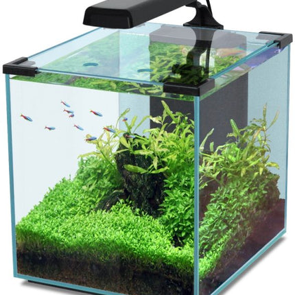 Aquatlantis Cubic LED Aquarienset – Aquarien für das Aquarium bei AquascapingForLife