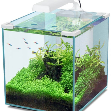 Aquatlantis Cubic LED Aquarienset – Ansicht 2