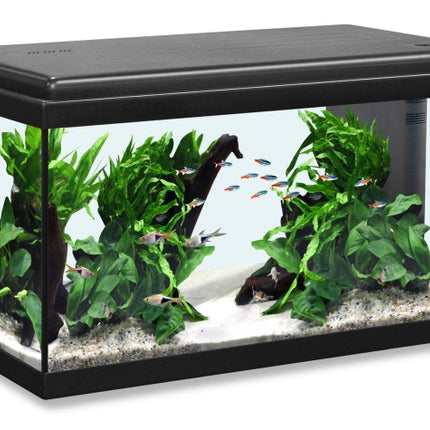 Aquatlantis Advance LED Aquarienset – Aquarien für das Aquarium bei AquascapingForLife