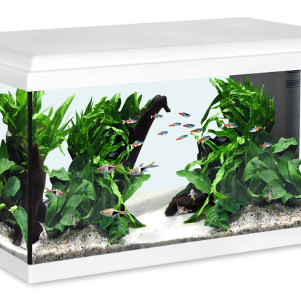 Aquatlantis Advance LED Aquarienset – Ansicht 2