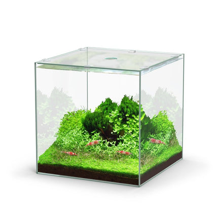 Aquatlantis Kubus 22 L Glasbecken – Aquarien für das Aquarium bei AquascapingForLife