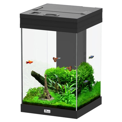 Aquatlantis Aqua Tower Aquarium – Aquarien für das Aquarium bei AquascapingForLife