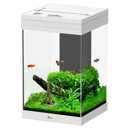 Aquatlantis Aqua Tower Aquarium – Ansicht 2