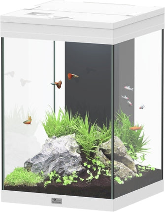 Aquatlantis Aqua Tower Aquarium – Ansicht 6