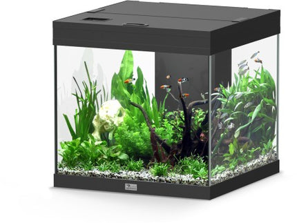 Aquatlantis Aqua Tower Aquarium – Ansicht 7
