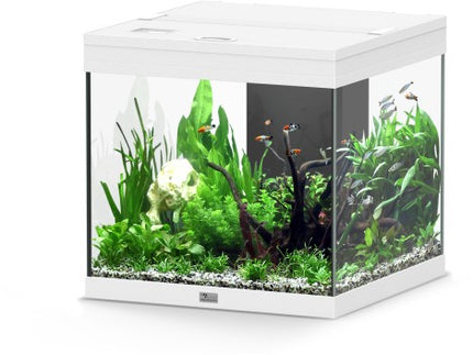 Aquatlantis Aqua Tower Aquarium – Ansicht 10