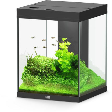 Aquatlantis Aqua Tower Aquarium – Ansicht 14