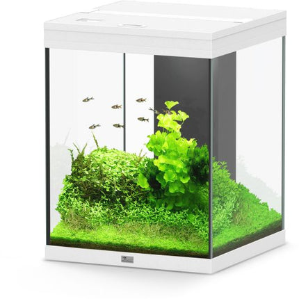 Aquatlantis Aqua Tower Aquarium – Ansicht 16