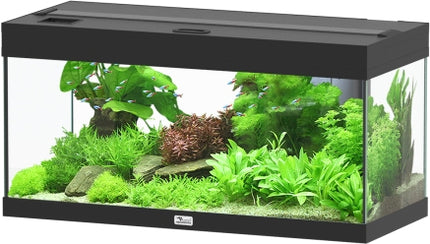 Aquatlantis Prestige Aquarium – Ansicht 4