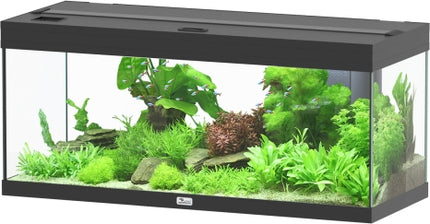 Aquatlantis Prestige Aquarium – Ansicht 5