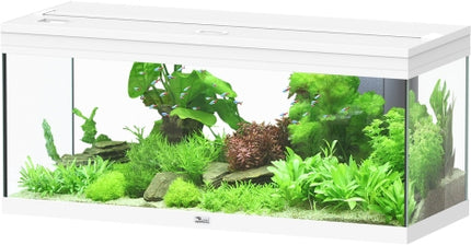 Aquatlantis Prestige Aquarium – Ansicht 8
