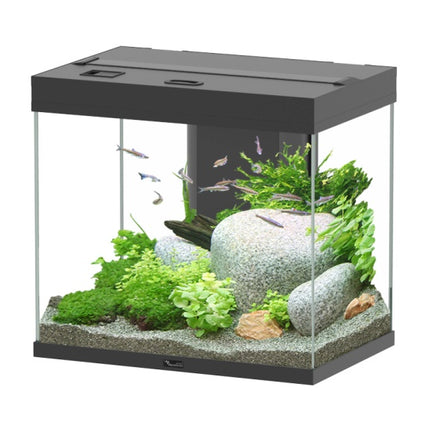 Aquatlantis Splendid Ultra Aquarium – Aquarien für das Aquarium bei AquascapingForLife