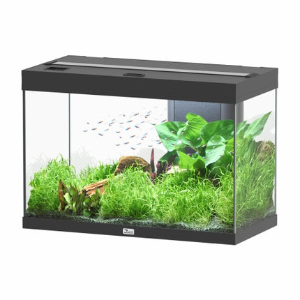 Aquatlantis Splendid Ultra Aquarium – Ansicht 4