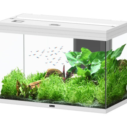 Aquatlantis Splendid Ultra Aquarium – Ansicht 6