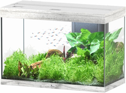 Aquatlantis Splendid Ultra Esche Aquarium – Ansicht 4