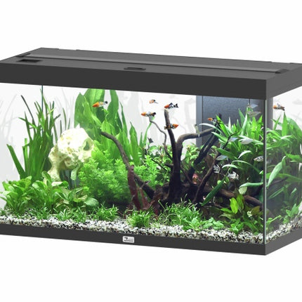Aquatlantis Splendid Ultra Aquarium – Ansicht 8
