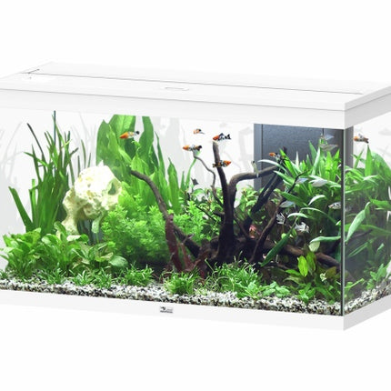 Aquatlantis Splendid Ultra Aquarium – Ansicht 10
