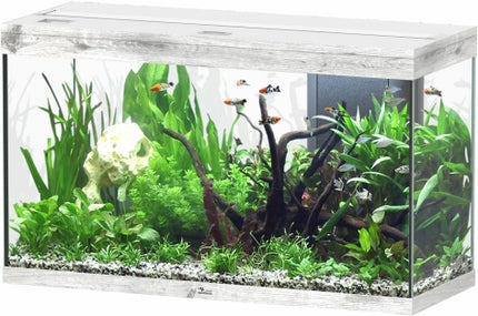 Aquatlantis Splendid Ultra Esche Aquarium – Ansicht 6