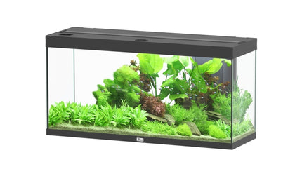 Aquatlantis Splendid Ultra Aquarium – Ansicht 13