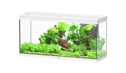 Aquatlantis Splendid Ultra Aquarium – Ansicht 14