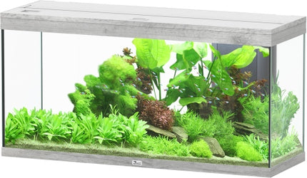 Aquatlantis Splendid Ultra Esche Aquarium – Ansicht 8