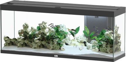 Aquatlantis Splendid Ultra Aquarium – Ansicht 16