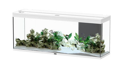 Aquatlantis Splendid Ultra Aquarium – Ansicht 18