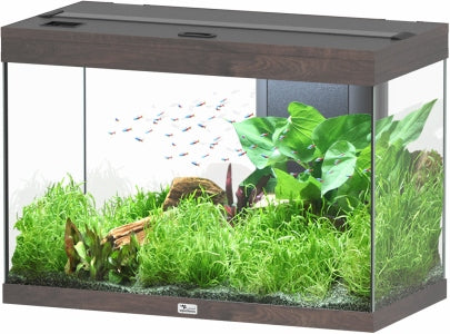 Aquatlantis Splendid Ultra Wildeiche Dunkel Aquarium – Ansicht 3