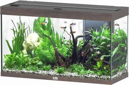 Aquatlantis Splendid Ultra Wildeiche Dunkel Aquarium – Ansicht 5