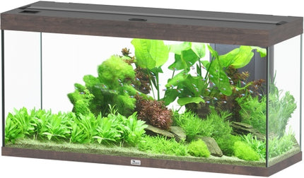Aquatlantis Splendid Ultra Wildeiche Dunkel Aquarium – Ansicht 6
