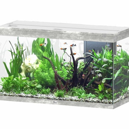 Aquatlantis Splendid Ultra Steinoptik Aquarium – Aquarien für das Aquarium bei AquascapingForLife