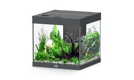 Aquatlantis Aqua Tower Aquarium – Ansicht 11