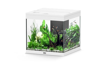 Aquatlantis Aqua Tower /nussbaum Aquarium – Ansicht 2