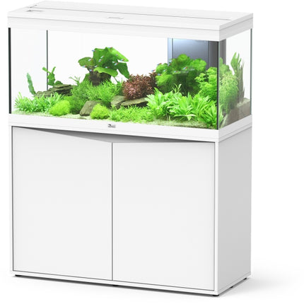 Aquatlantis Volga Kombi – Aquarienkombinationen für das Aquarium bei AquascapingForLife