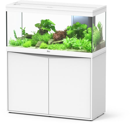 Aquatlantis Volga Kombi – Aquarienkombinationen für das Aquarium bei AquascapingForLife