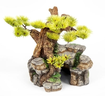 Aquatlantis Bonsai – Ansicht 2